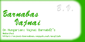 barnabas vajnai business card